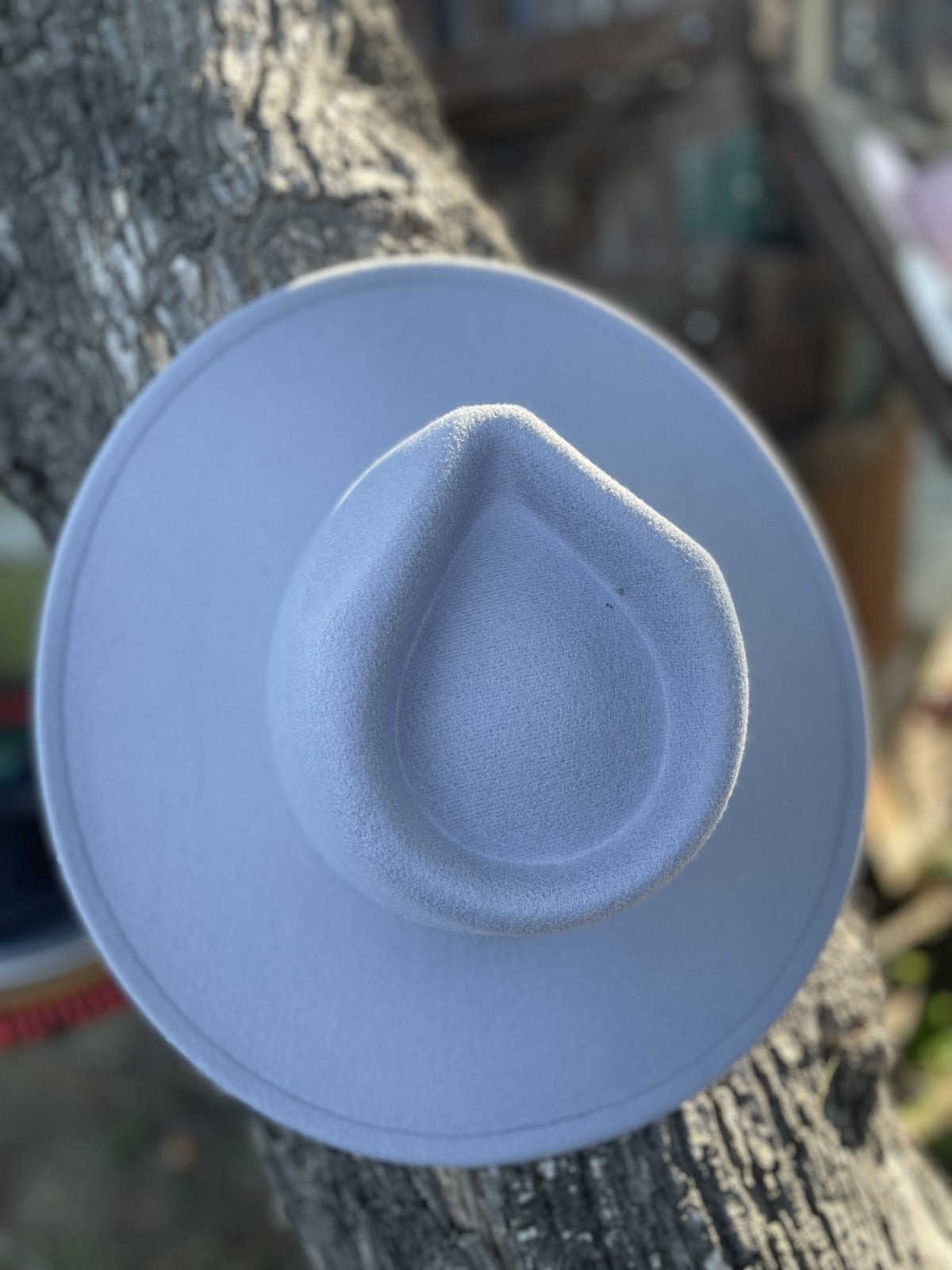 Sky Blue Classy Fedora